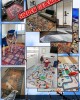 CROWBAN Kaymaz Taban Halı - Makinada Yıkanabilir, Salon, Yolluk, Paspas,Modern Desen Gri Renk Dot Taban Halı